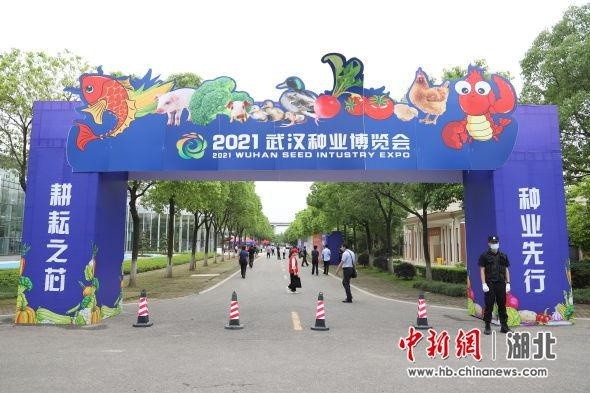  科技赋能训练升级，智能设备助力体能突破